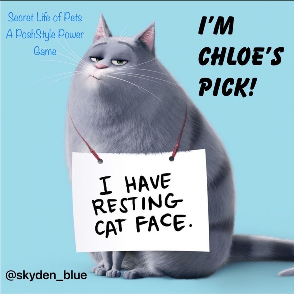 I’m Chloe’s Pick in The Secret Life of Pets Game!